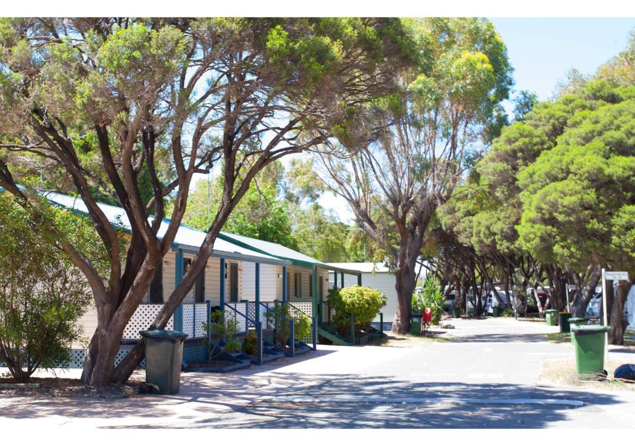 Discovery Parks - Coogee Beach المظهر الخارجي الصورة